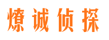 比如市调查公司